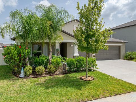 A home in WIMAUMA