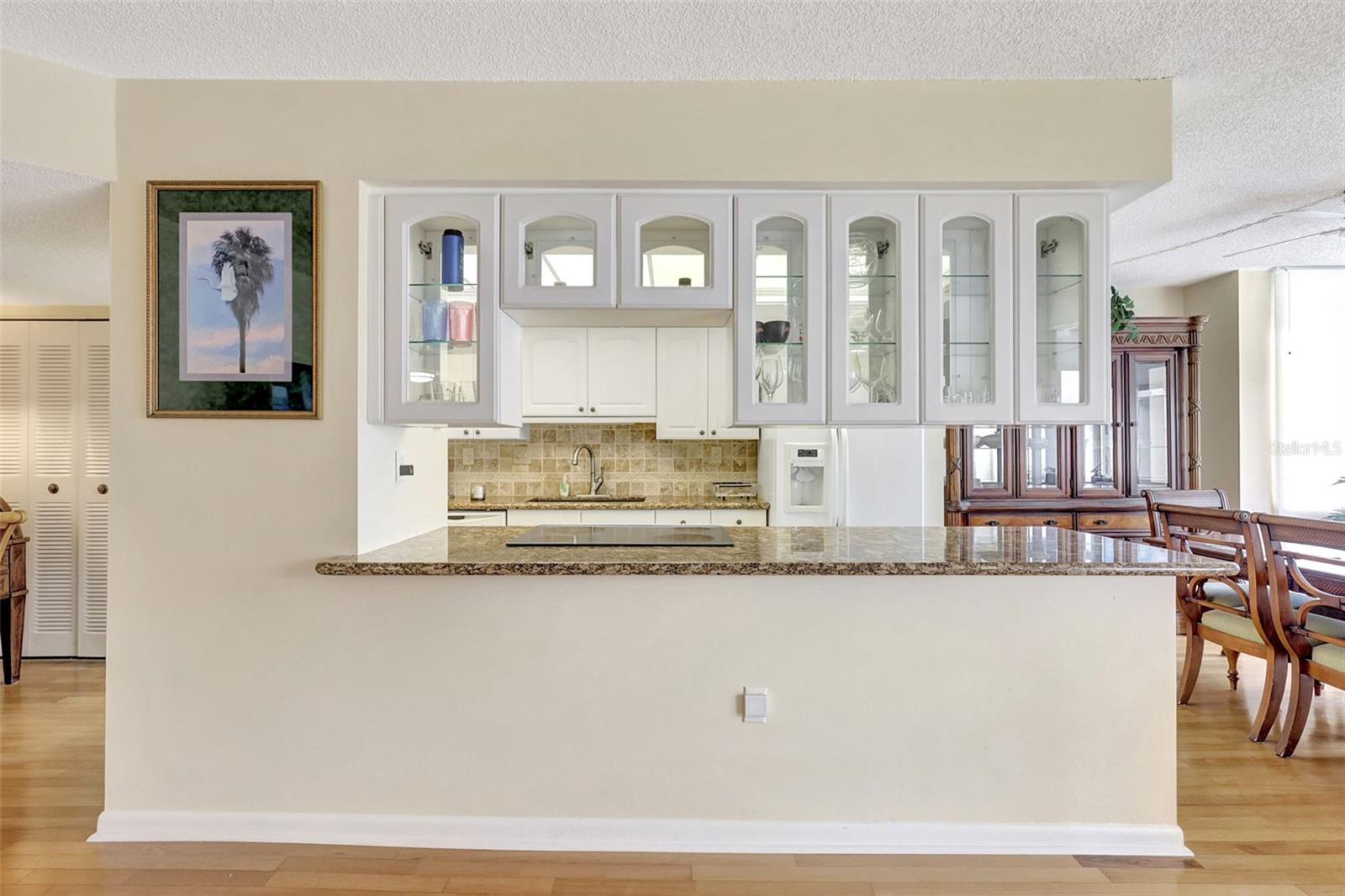 DIAMOND ISLE CONDO - Residential