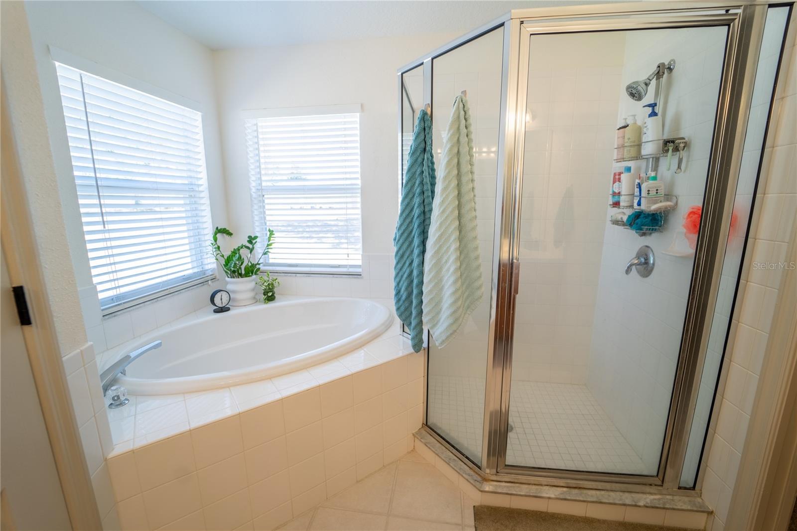 BUCKHORN PRESERVE PH 1 - Residential