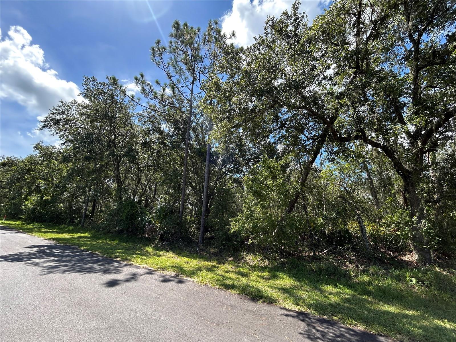 INDIAN LAKE ESTATES - Land