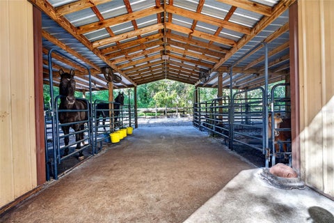 Tiny photo for 19 Northern Dancer Drive, Ocala, FL 34482 (MLS # OM734835)