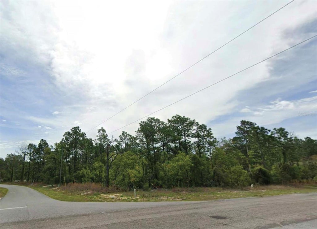 Photo of 6673 N Waterman Drive, Citrus Springs, FL 34434 (MLS # O6453399)