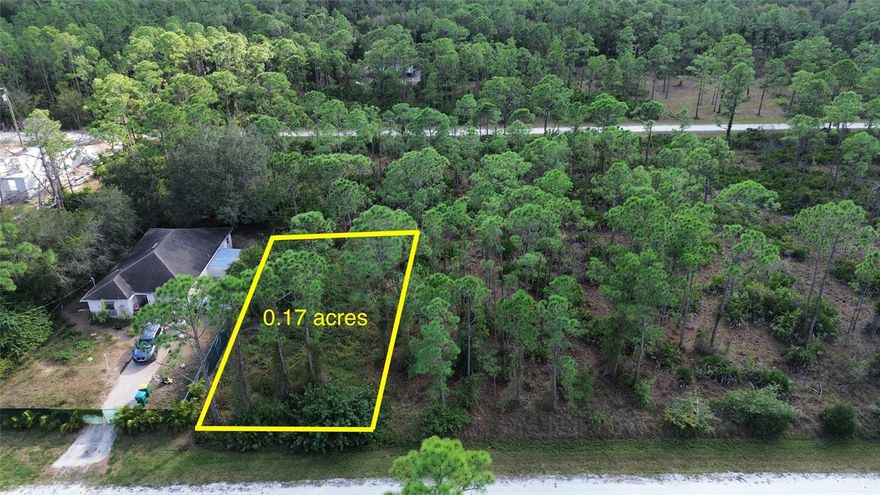 Build your dream home on this vacant residential lot located in Punta Gorda. Situated in a growing area with convenient access to US-41, I-75, shopping, dining, and Gulf beaches. No flood insurance may be required (buyer to verify). Great opportunity for investors, builders, or future homeowners looking to secure land in desirable Southwest Florida.
