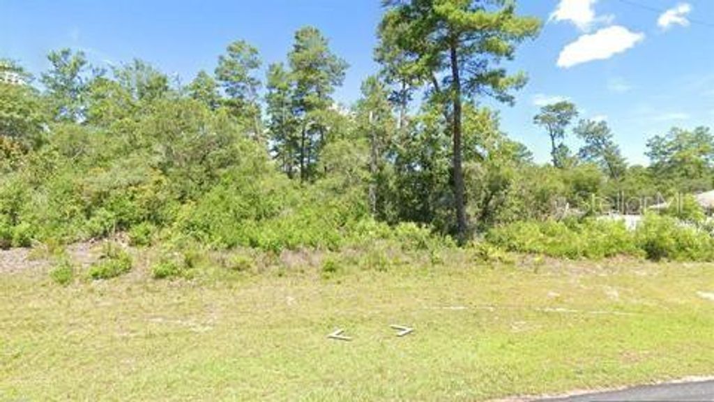 Photo of Marion Oaks Ln, Ocala, FL 34473 (MLS # OM712073)