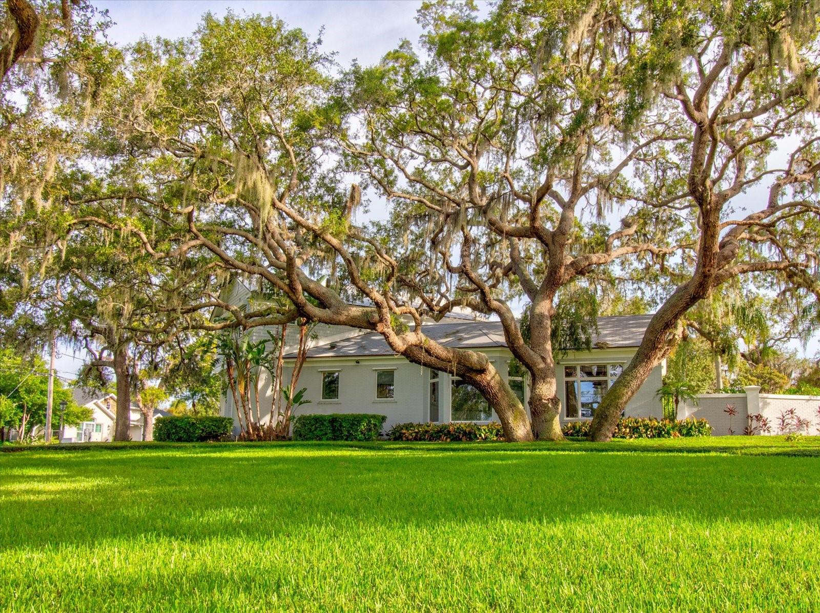504 RIVERSIDE DRIVE 504