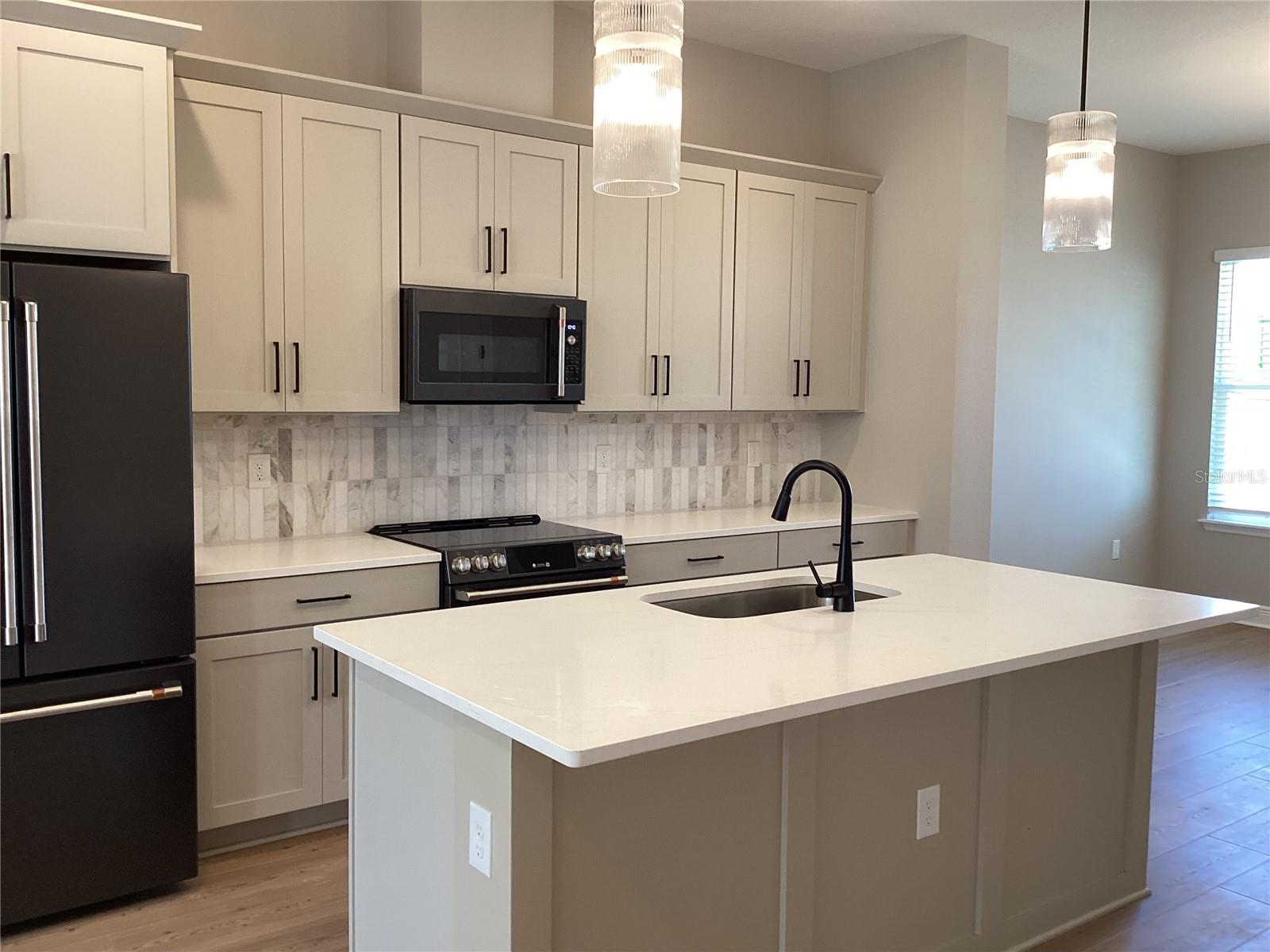 13419 LEMON ORCHARD BEND