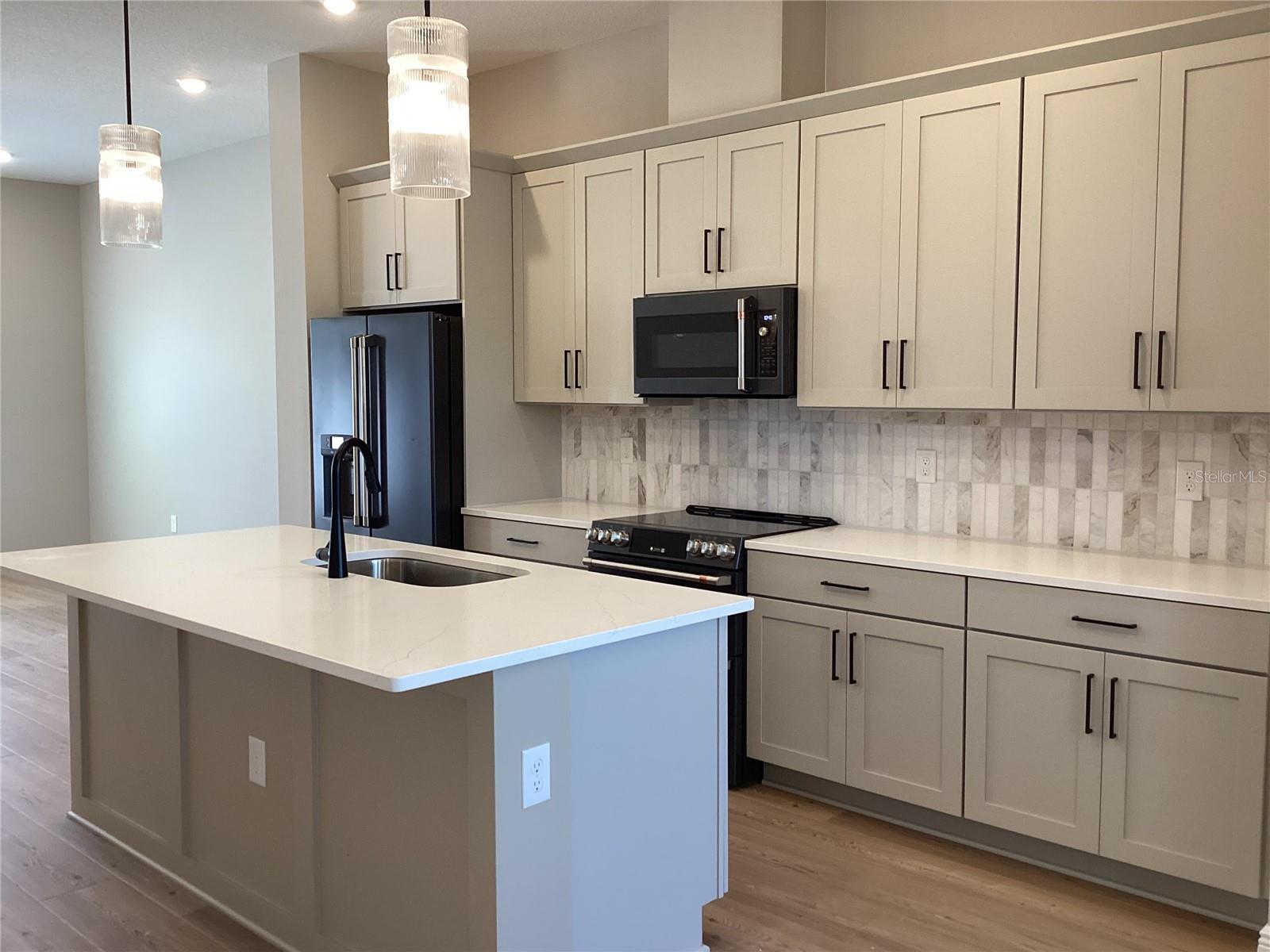 13419 LEMON ORCHARD BEND