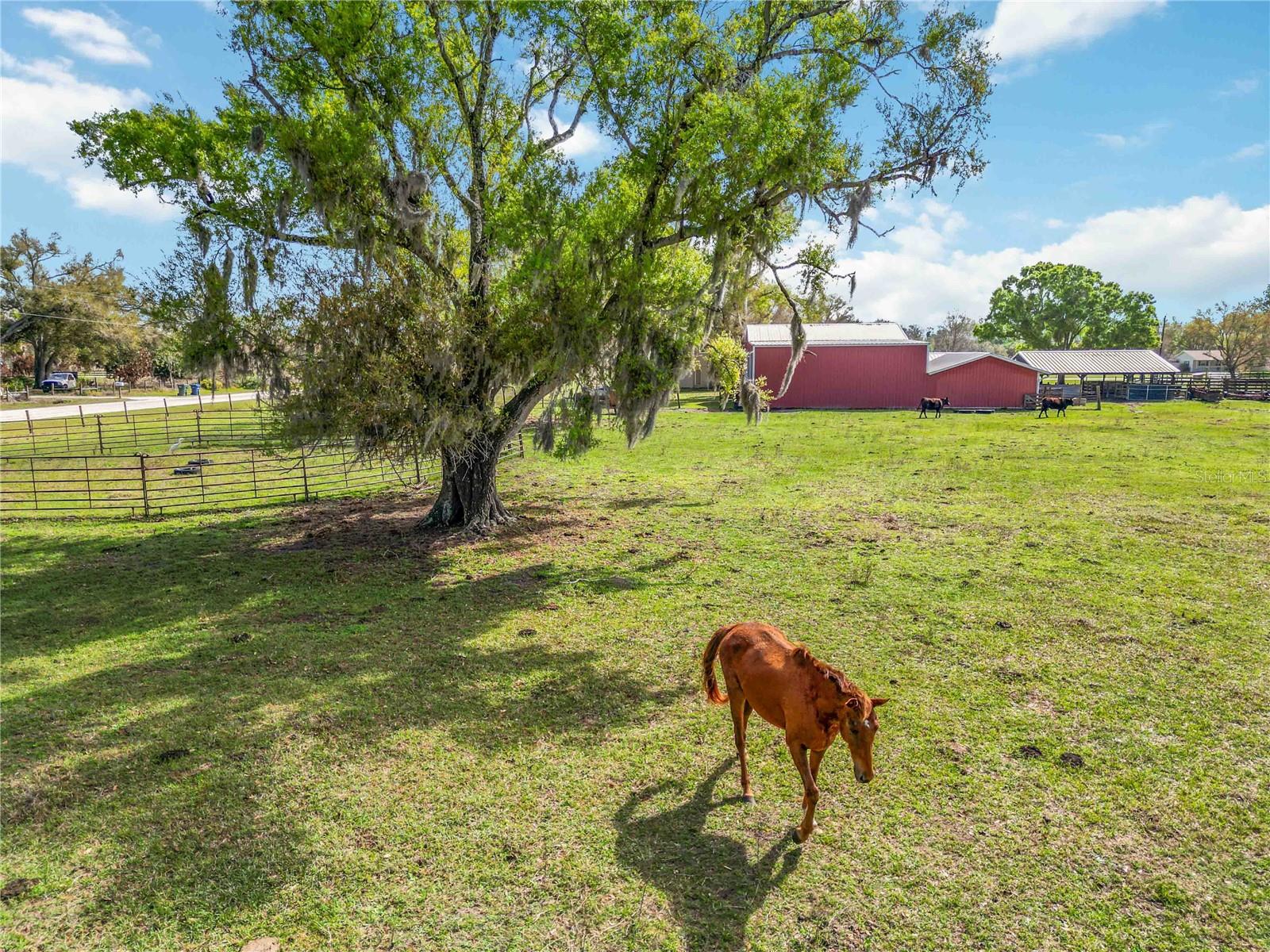 RAINBOW RANCH ACRES - Residential