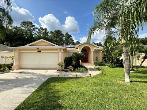 Photo of 23821 Pow Wow Drive, Lutz, FL 33559 (MLS # TB8432557)