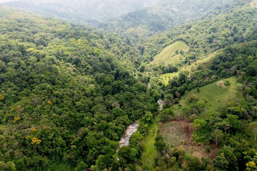 Tucked in the Talamanca Mountain Range of Costa Rica, in the province of Puntarenas, 6 hours from the Capital of San Jose and International Airport Juan Santamaria, 40 minutes from downtown Ciudad Nelly, 30 minutes from San Vito de Coto Brus and shy of one hour from the Panamanian boarder de Paso Canoas and Rio Sereno, and one hour from Golfito Port in the Southern Pacific Coast. 
This 369 acres farm has fertile, sedimentary soils, suitable for multiple agricultural purposes, appropriate for farming or an amazing tourist complex such a luxury hotel chain looking to build a retreat for their high-end clients that are looking for a secluded space where they can enjoy nature as it best, an eco-lodge,  a cozy auberge or chalets for the perfect vacation spot would be great projects for this property. 
The property has its own sources of clean water, is surrounded by the corridors’ rivers and with its boundaries has multiple streams of crystal-clear water overlooking a spectacular waterfall. It has access to public roads and has access to all the services required for proper development such as electricity, internet and its own drinking water.The farm currently has an extensive area of 17 hectares (42.01 acres) of  Palm cultivation. Another large amount of land remains as Virgen as primary and secondary forest with timber trees such as cedar and yellow bar among many others can be located. There is a large diversity of wild animals, such as a variety of primates, coatis, tepezcuintles and a great diversity of endemic birds such as Toucans, Elegant Euphonia, the tiny Volcano Hummingbird, the numerous Silver-throated Tanager and the Nimble Tree Runner just to mention a few. The area is developed in a good tropical climate, with dry and humid seasons, giving the natural territory an atmosphere of peace, security, and tranquility!