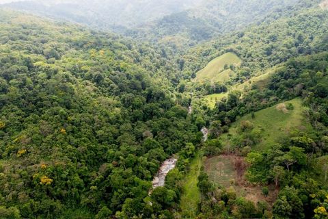 000 BAJO LOS INDIOS PUNTARENAS  00000