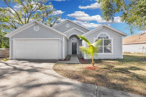 A home in APOPKA