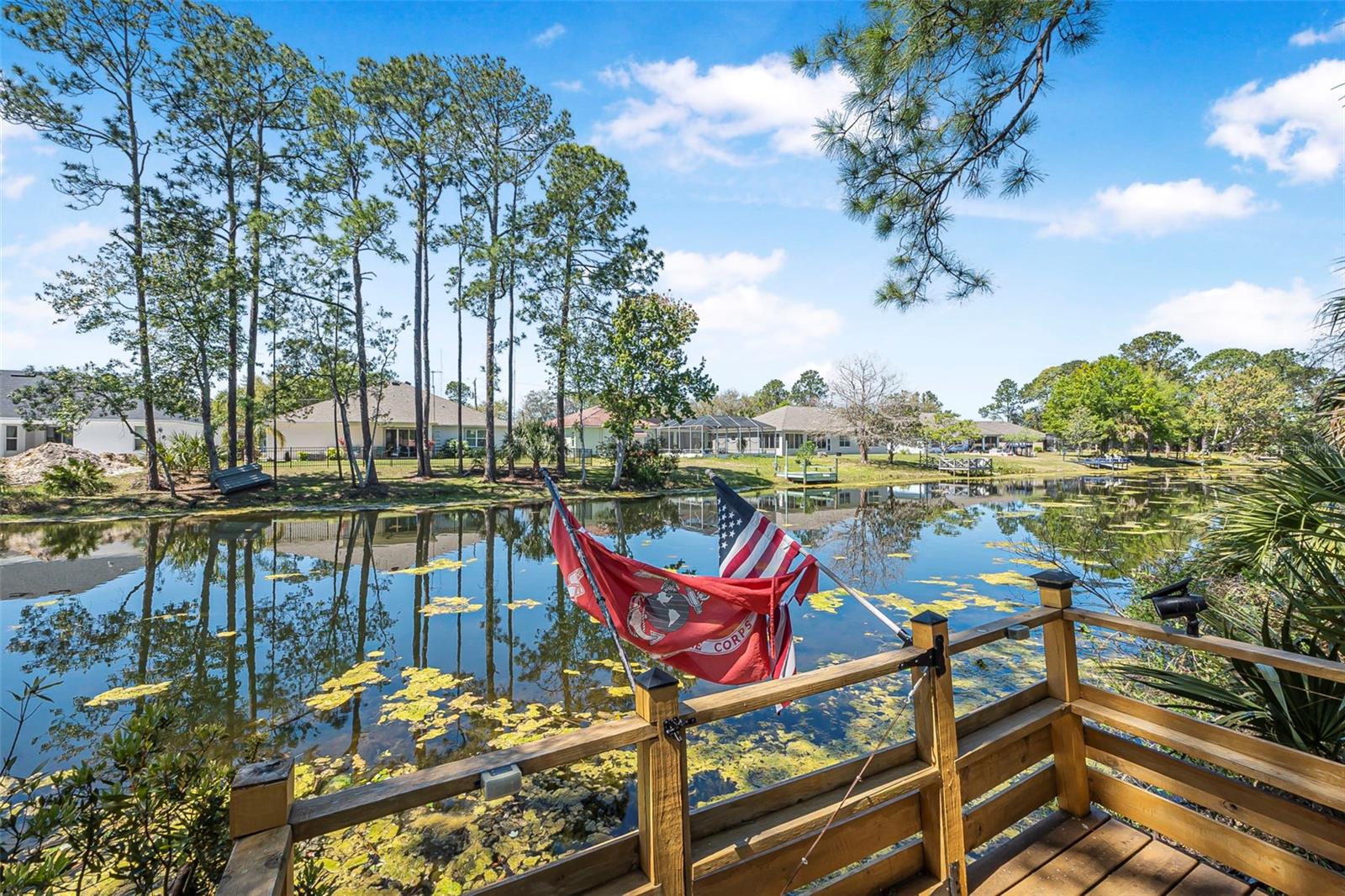 205 BIRCHWOOD DRIVE