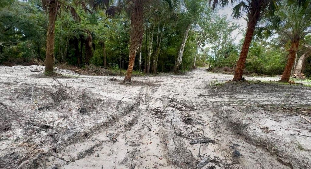 Photo of 11679 SW Thornton Avenue, Arcadia, FL 34269 (MLS # A4664535)