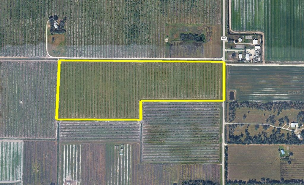 Photo of 7057 SE County Road 763, Arcadia, FL 34266 (MLS # C7525704)