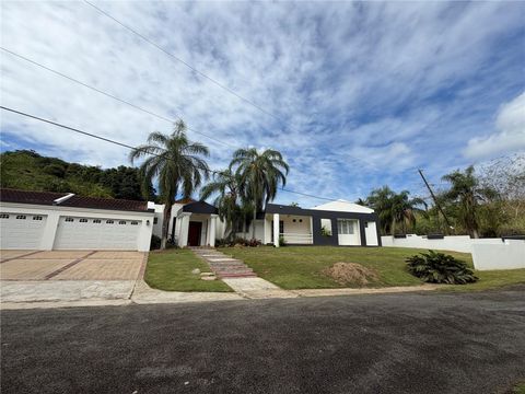 16 TRINITARIA GURABO  00778