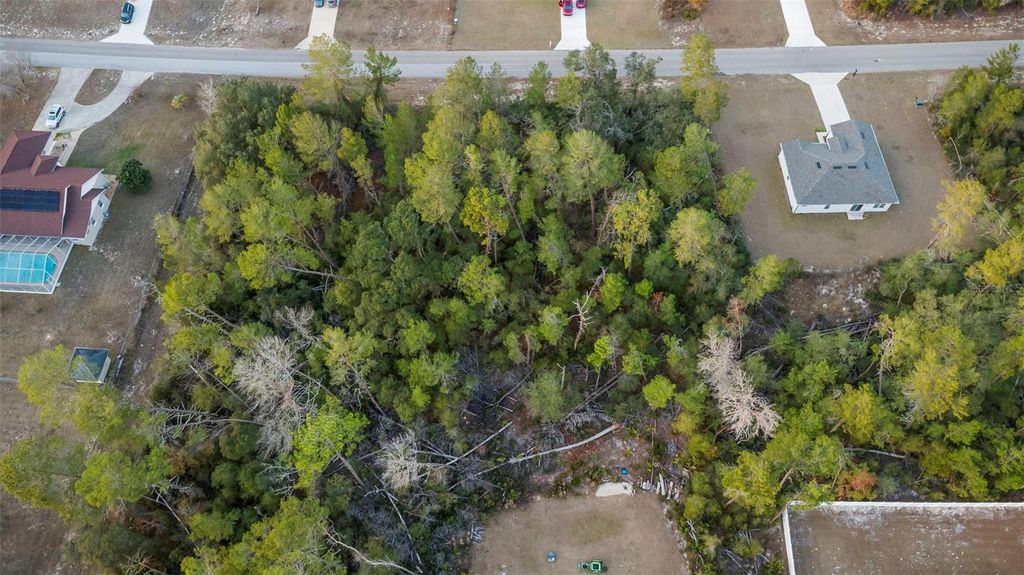 Photo of Marion Oaks, Ocala, FL 34473 (MLS # O6377008)