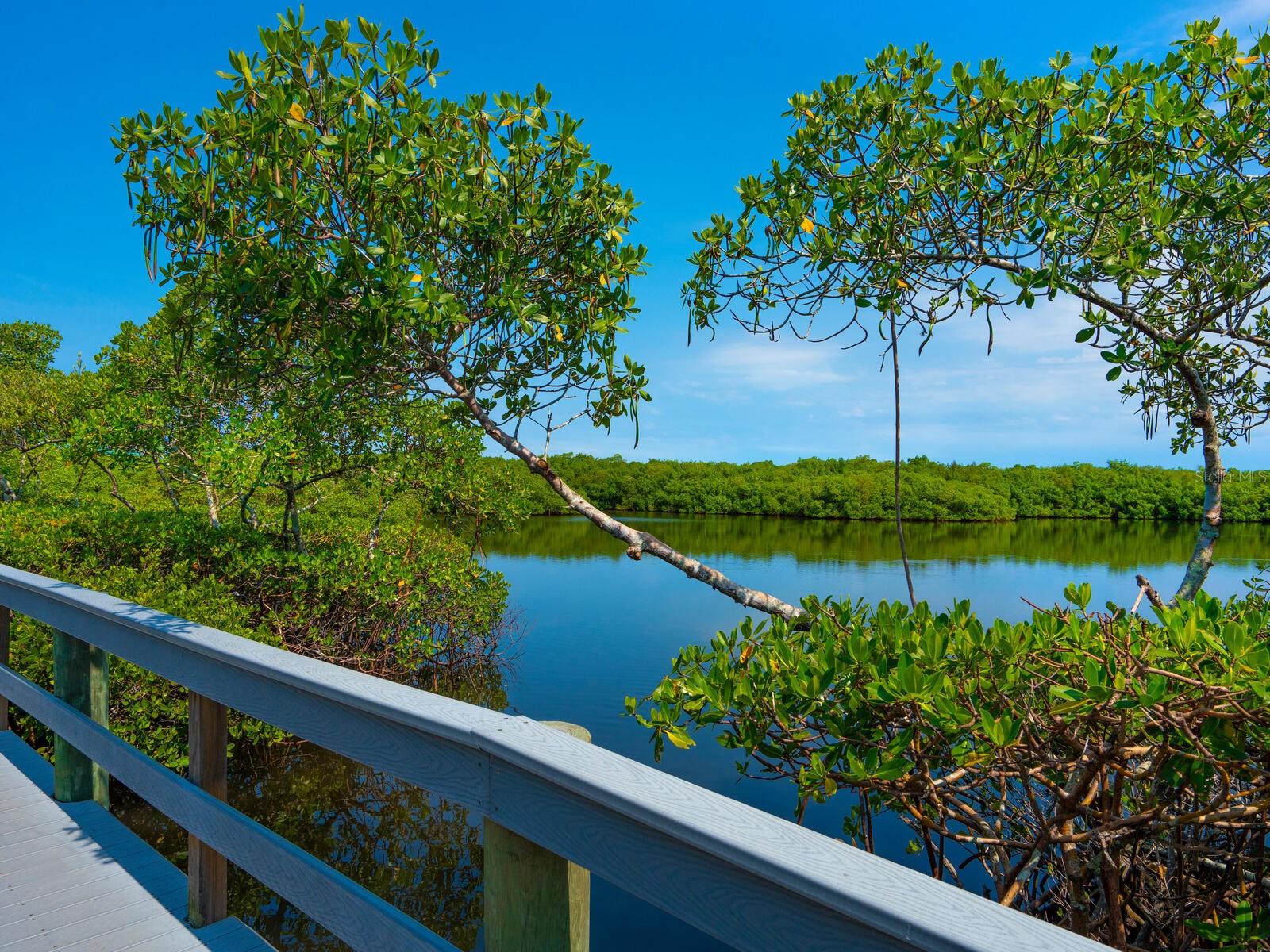 EAGLES POINT AT THE LANDINGS 1 - Residential