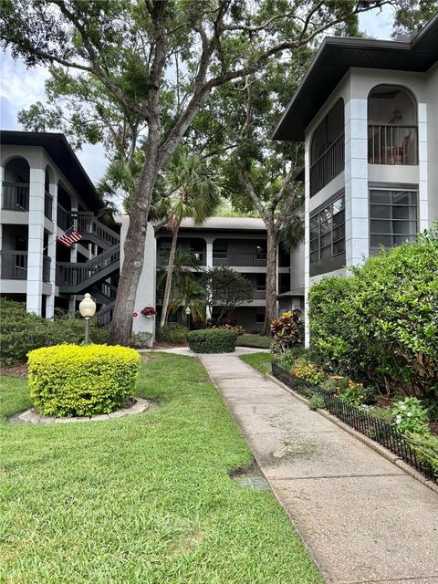 3399 MERMOOR DRIVE 207 PALM HARBOR FL 34685