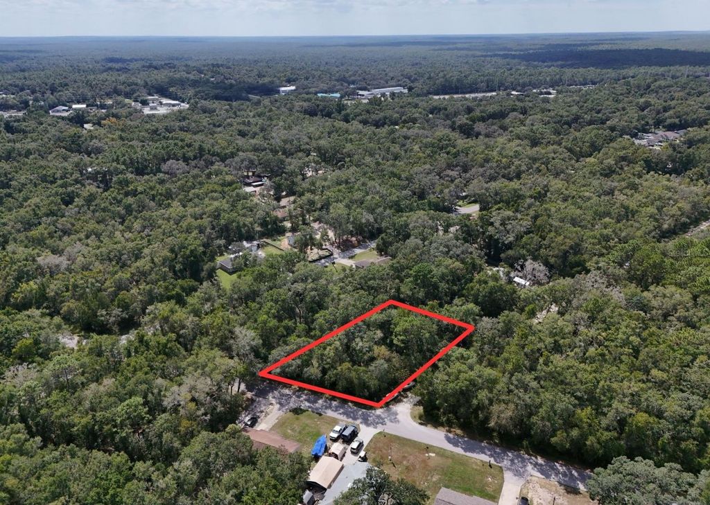 Photo of 3578 E Lou Lane, Inverness, FL 34453 (MLS # TB8434431)