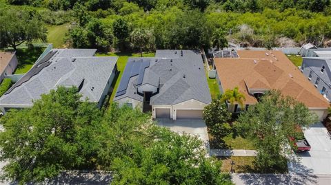 A home in RIVERVIEW