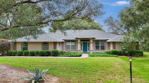Tiny photo for 1204 N Mediterranean Way, Inverness, FL 34453 (MLS # TB8523455)