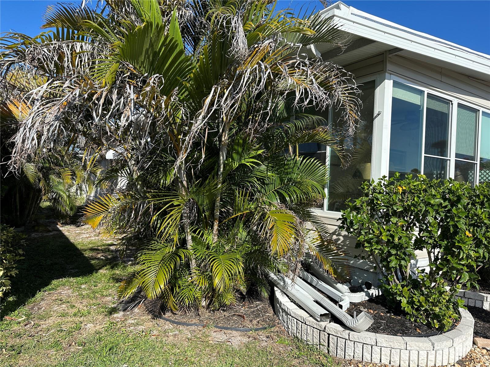 JAPANESE GARDENS MHP - Residential