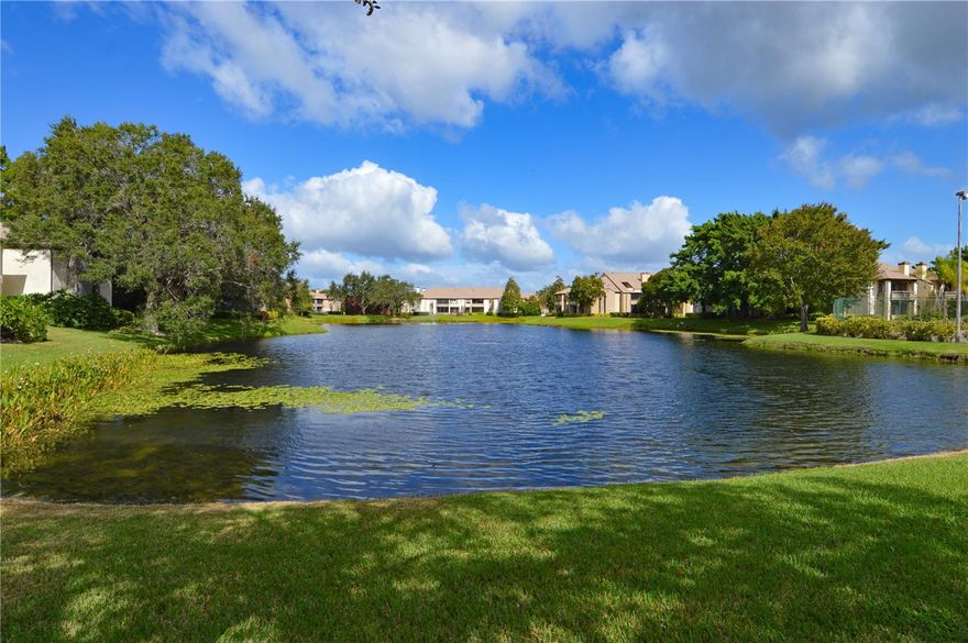 Welcome to paradise at Itopia Private Residencies. This condo is a One bedroom and One bathroom with mahogany wood 42' Kitchen cabinets, granite countertops, stainless steel appliances, washer and dryer, high & vaulted ceiling, tile floors throughout and located on 2nd floor w/covered screened-in balcony & storage rm. that you have access to the living area and master bedroom overlooking the lake and tennis courts. Rent Includes: Cable TV, Internet, Trash and 1 assigned parking spot and visitor parking. Itopia Private Residencies is gated community and offers 2 heated swimming pools, 2 hot tubs overlooking the lake, clubhouse for entertainment, Fitness Center with Plasma TV’s, Sauna, Business center with free Wi-Fi, Theatre Room for watching movies and sports, I-pod and I-box access, Racquetball court /Basketball Half court, tennis & Volleyball court. Conveniently located to Downtown St Pete, Tampa via I-275 or Gandy Bridge, MacDill AFB, and Pinellas Beaches