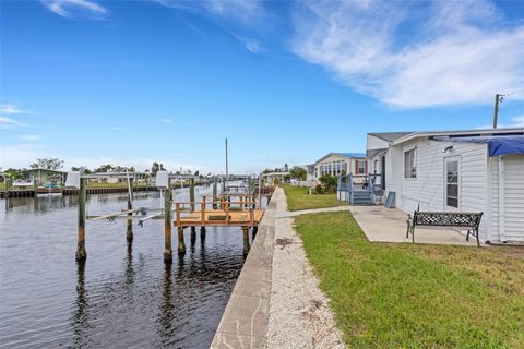 217 MOUNT ISLE AVENUE NE 197 ST PETERSBURG FL 33702