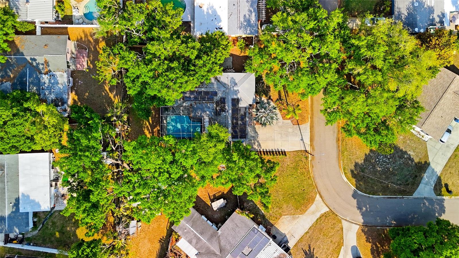 WINSTON PARK - Residential