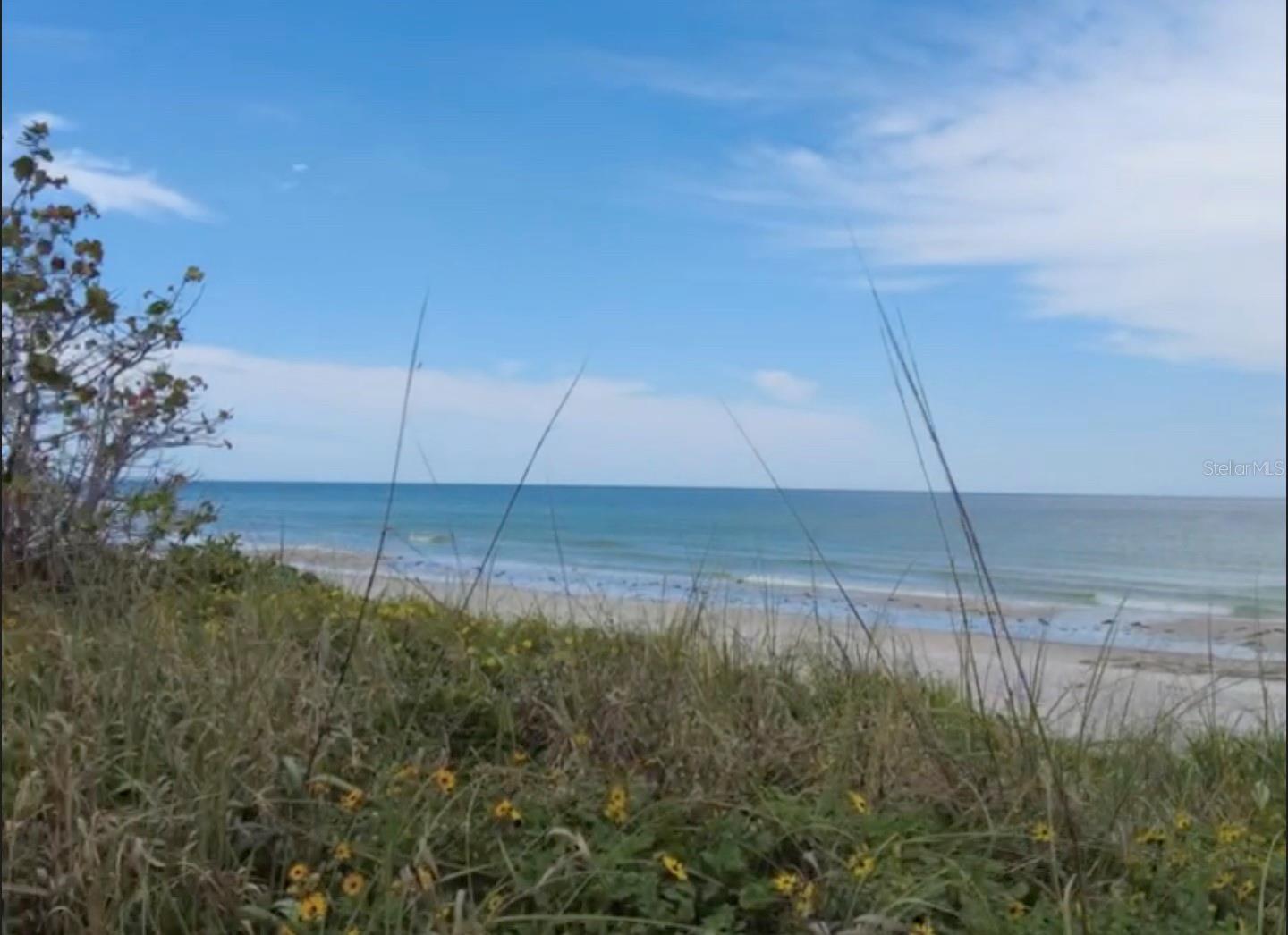 BELLEAIR BEACH - Residential