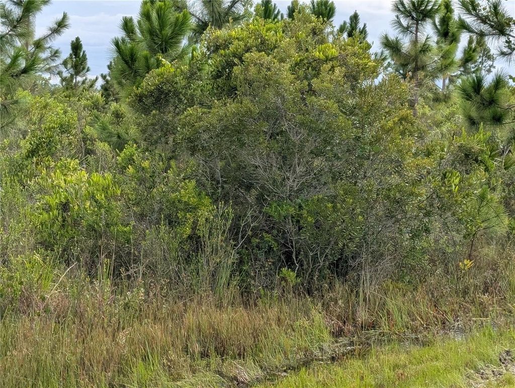 Photo of 213 Belmonte Drive, Indian Lake Estates, FL 33855 (MLS # TB8415350)