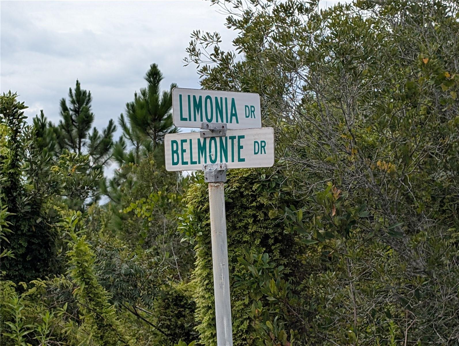 Come build your forever home on this one-half acr lot that located in the lake community of Indian Lake Estates, a golfing, fishing and boating community in the center of Florida. Indian Lake Estates is about 20 miles east of Lake Wales. The community surrounds the 7,500 acre lake locally known as Lake Walk In Water, nationally known for its fishing and considered to be one of the best bass fishing lakes in all Florida. The lake has a beach, boat ramp, boat marina and the longest freshwater Fishing pier in the State of Florida. The pavilion is located at the front of the pier and is complete with propane grills and covered picnic tables. The community amenities include an 18-hole golf course, basketball and tennis courts, 23, 000 sq.ft. clubhouse, cafe, post office, churches, library, fitness room and pro shop. If you love nature and the peace and quiet of the country you're in luck. Wildlife is plentiful! You will see deer, raccoon, turkey, turtles, cranes and various species of birds that call Indian Lake Estates their home. Orlando and Disney is only about an hour's drive north and Tampa, Busch Gardens, and the Gulf's pristine beaches only a little over an hour west. Historic Bok Tower, a National Landmark, is in nearby Lake Wales. The Westgate River Ranch Resort and Rodeo is just six miles away. An authentic Florida dude ranch and full-service resort offering guests the opportunity to experience "Old Florida." Encompassing 1,700 beautiful acres, Westgate River Ranch features horseback riding, wildlife airboat and swamp buggy rides, Saturday night championship rodeo, trap/skeet range, nature hikes, petting farm, marina, Adventure Park with zip line and rock climbing wall, Westgate Smokehouse Grill and River Ranch Saloon and much more. Cowboy-themed accommodations range from ranch-themed lodge guestrooms and deluxe lodge suites to spacious cottages, two-bedroom cabins, Glamping and Luxe Teepees. Come out and see how great life can be at Indian Lake Estates! Polk County's best kept secret!
