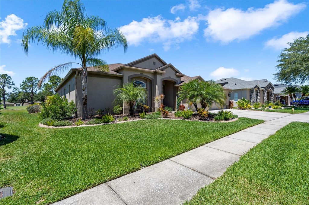 Photo of 5641 SPECTACULAR BID DRIVE, WESLEY CHAPEL, FL 33544 (MLS # T3449464)