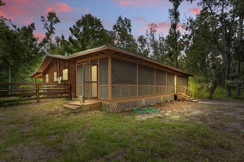 Photo of 1518 Palm Street NE, Steinhatchee, FL 32359 (MLS # W7876444) Photo of 1518 Palm Street NE, Steinhatchee, FL 32359 (MLS # W7876444)