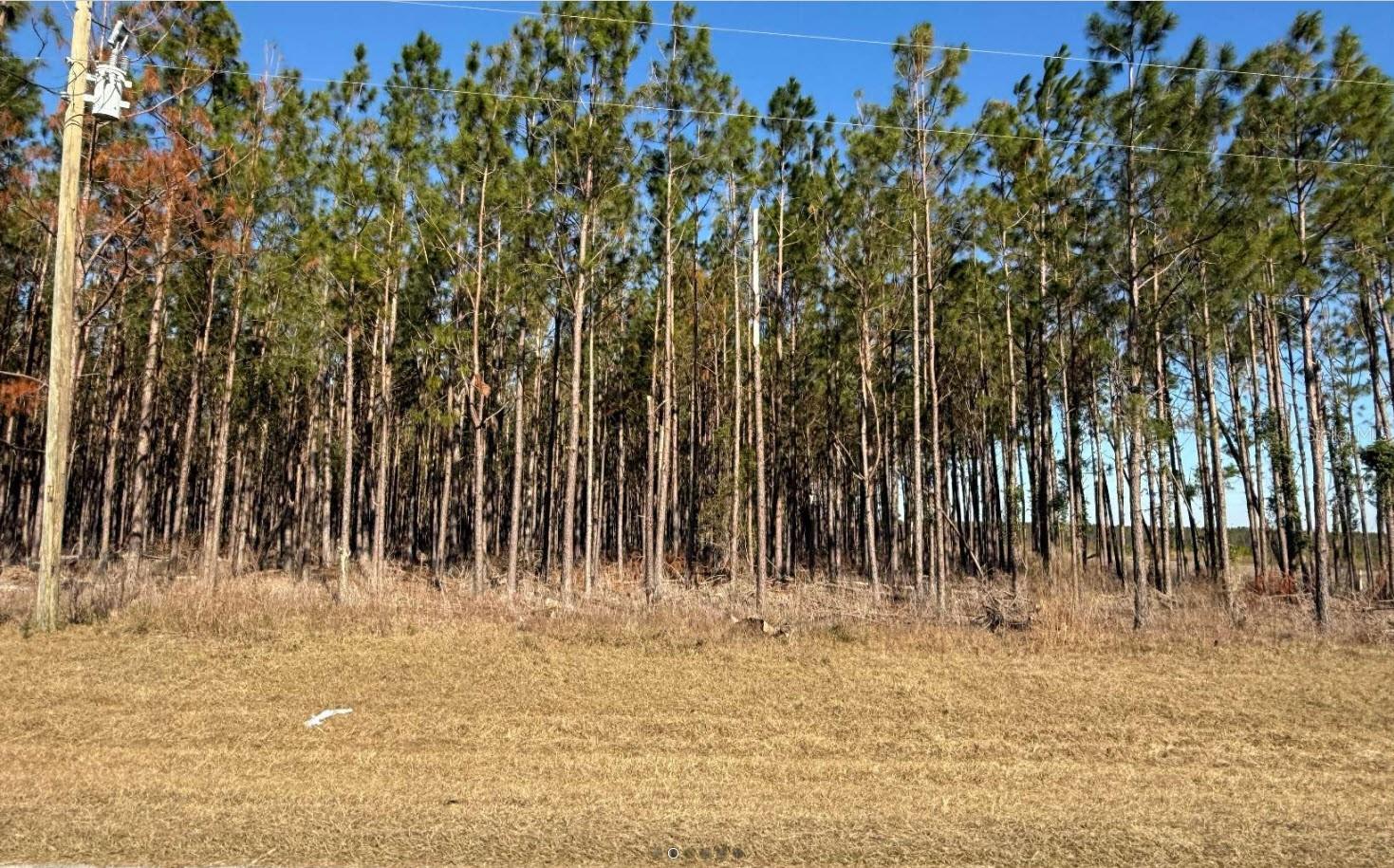 NW COUNTY ROAD 251