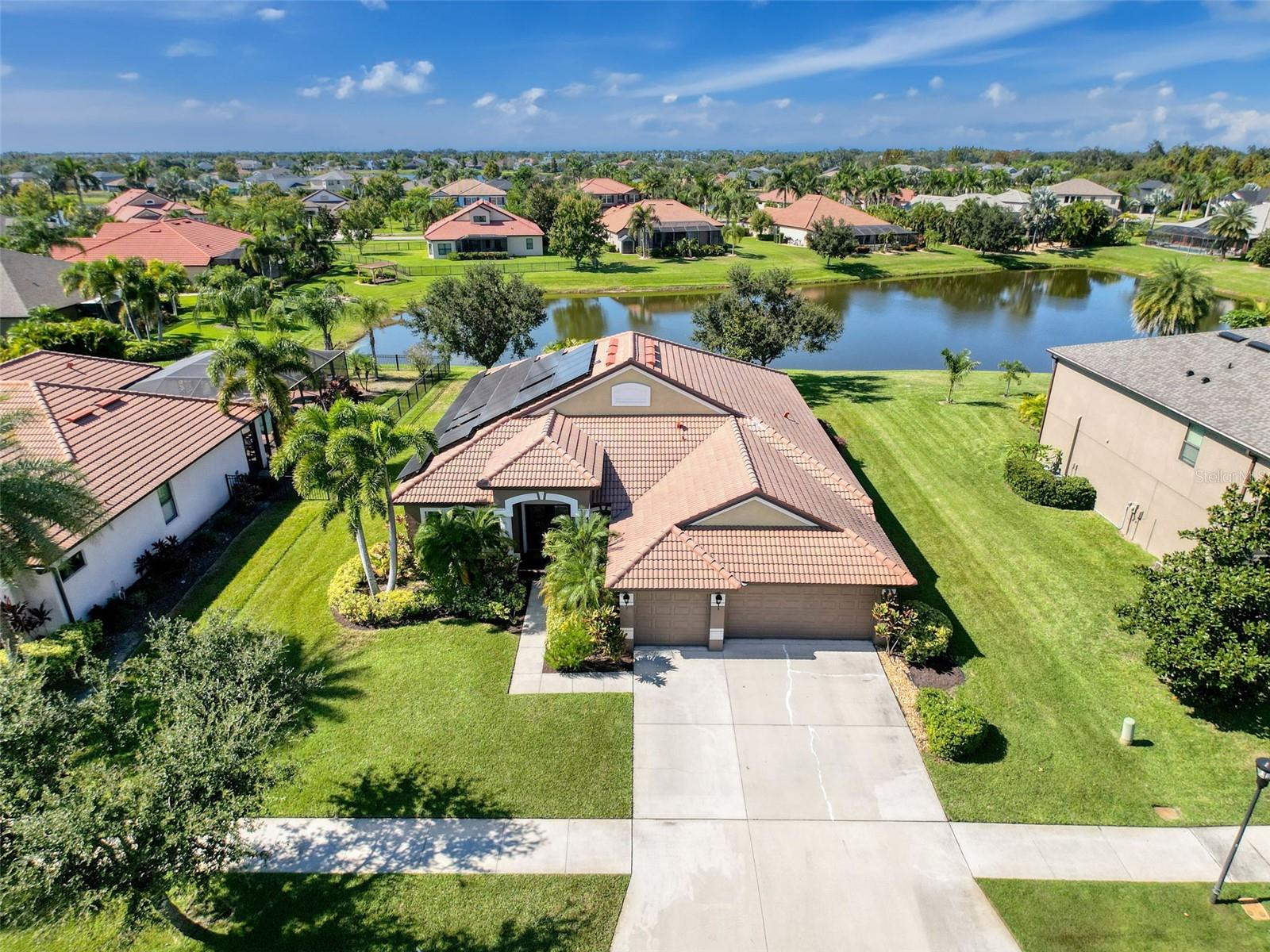 335 COCKLE SHELL LOOP