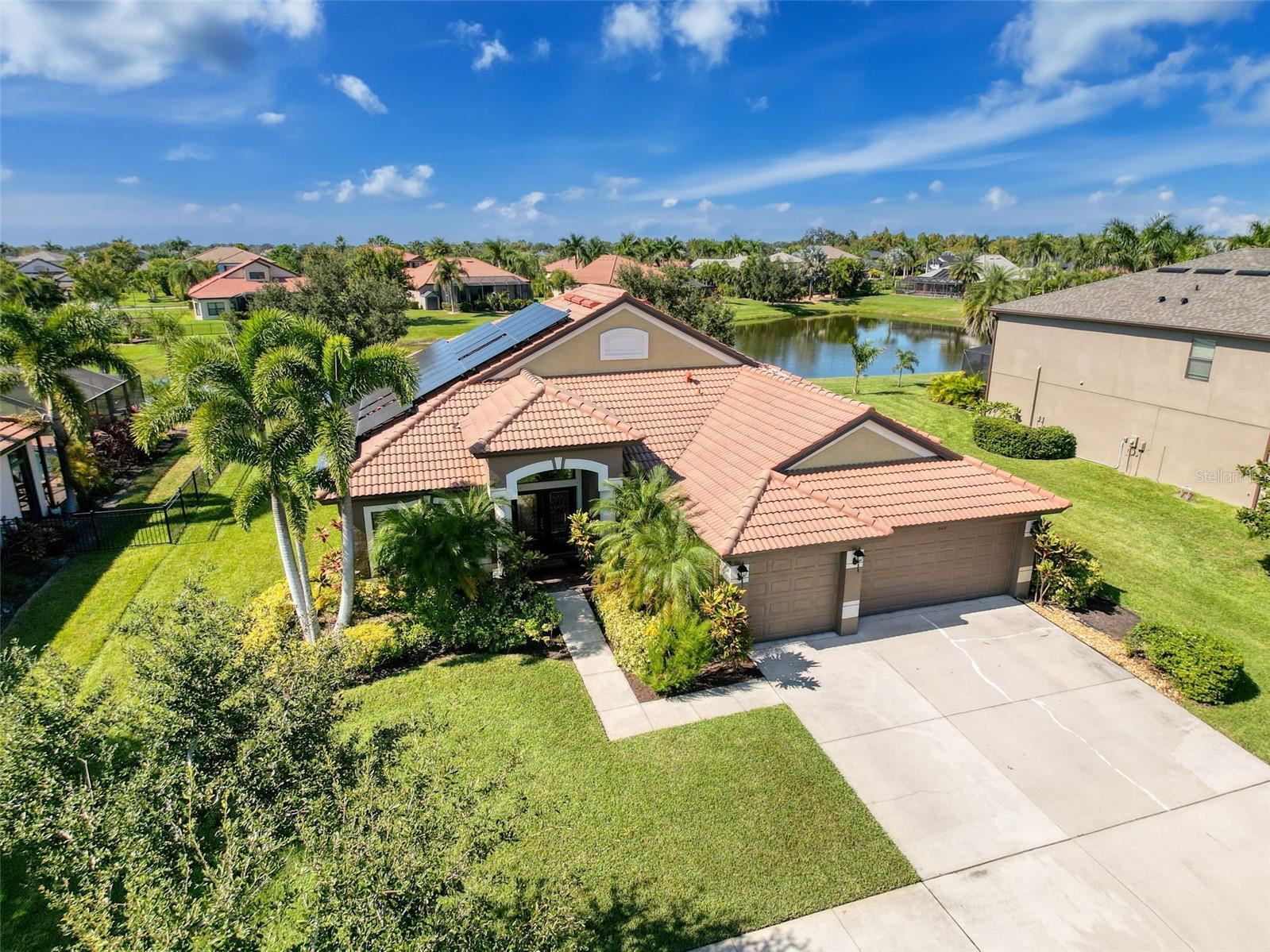 335 COCKLE SHELL LOOP