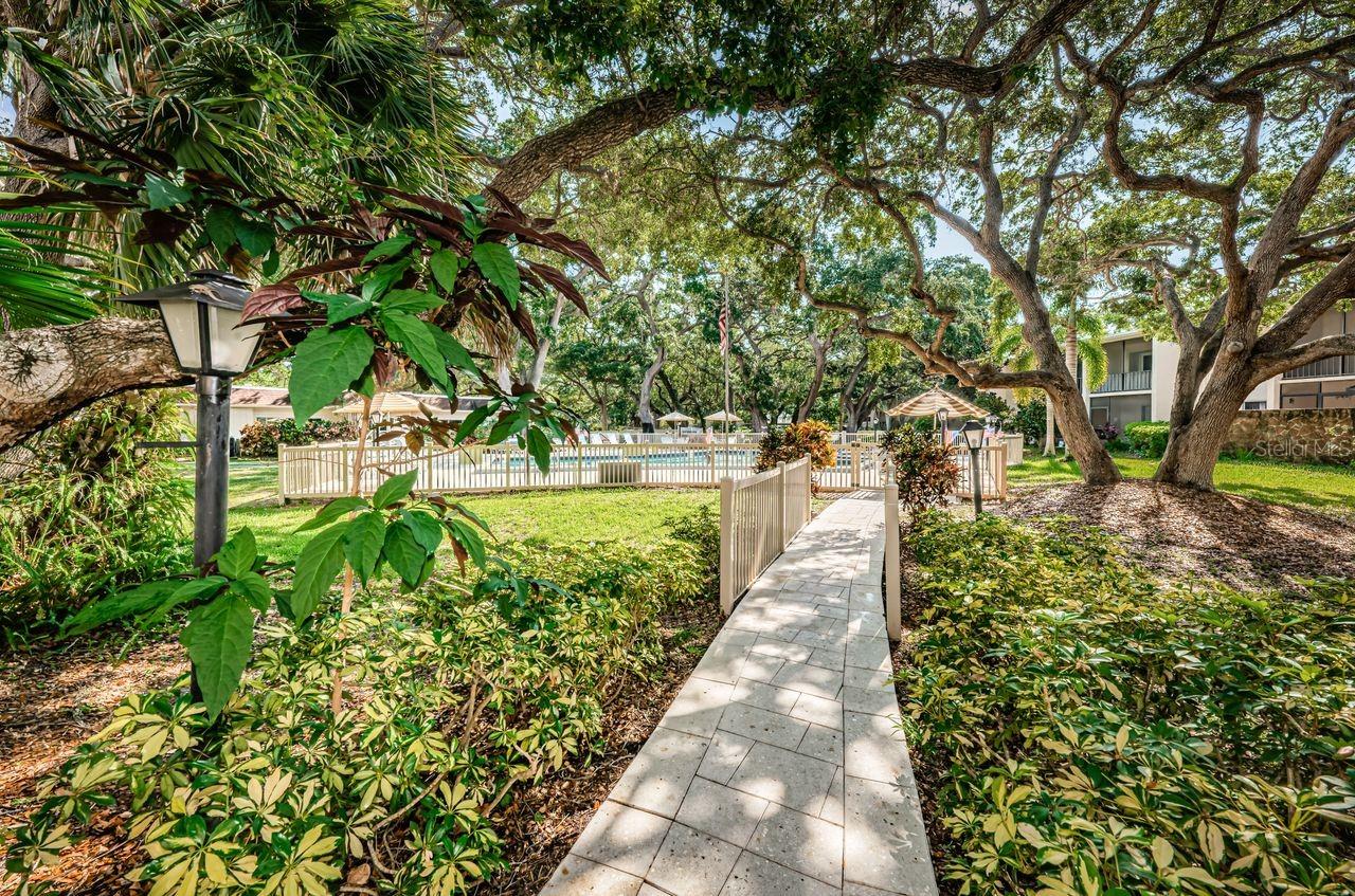 PATRICIAN OAKS - Residential