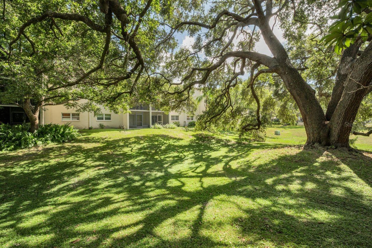 PATRICIAN OAKS - Residential