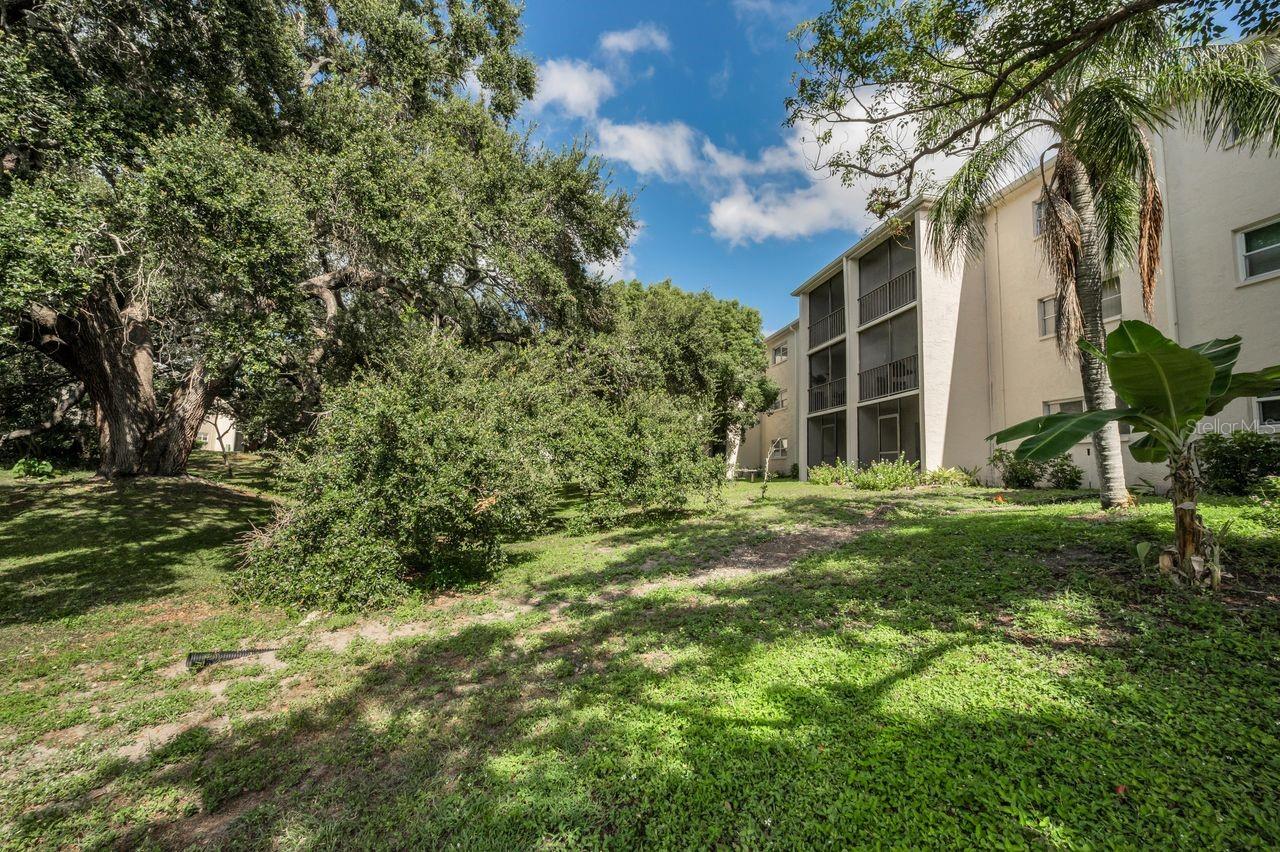 PATRICIAN OAKS - Residential