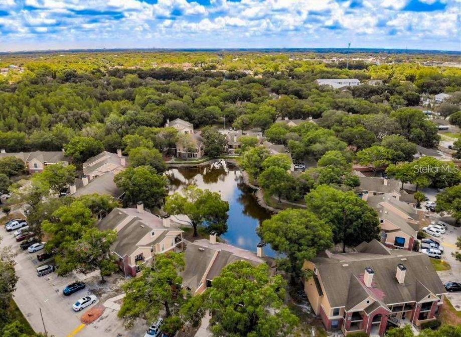 THE GRAND RESERVE CONDO - Residential Lease