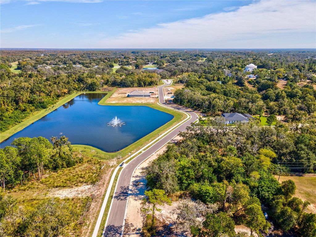 Photo of 709 Estates Boulevard, Tarpon Springs, FL 34688 (MLS # TB8470543)