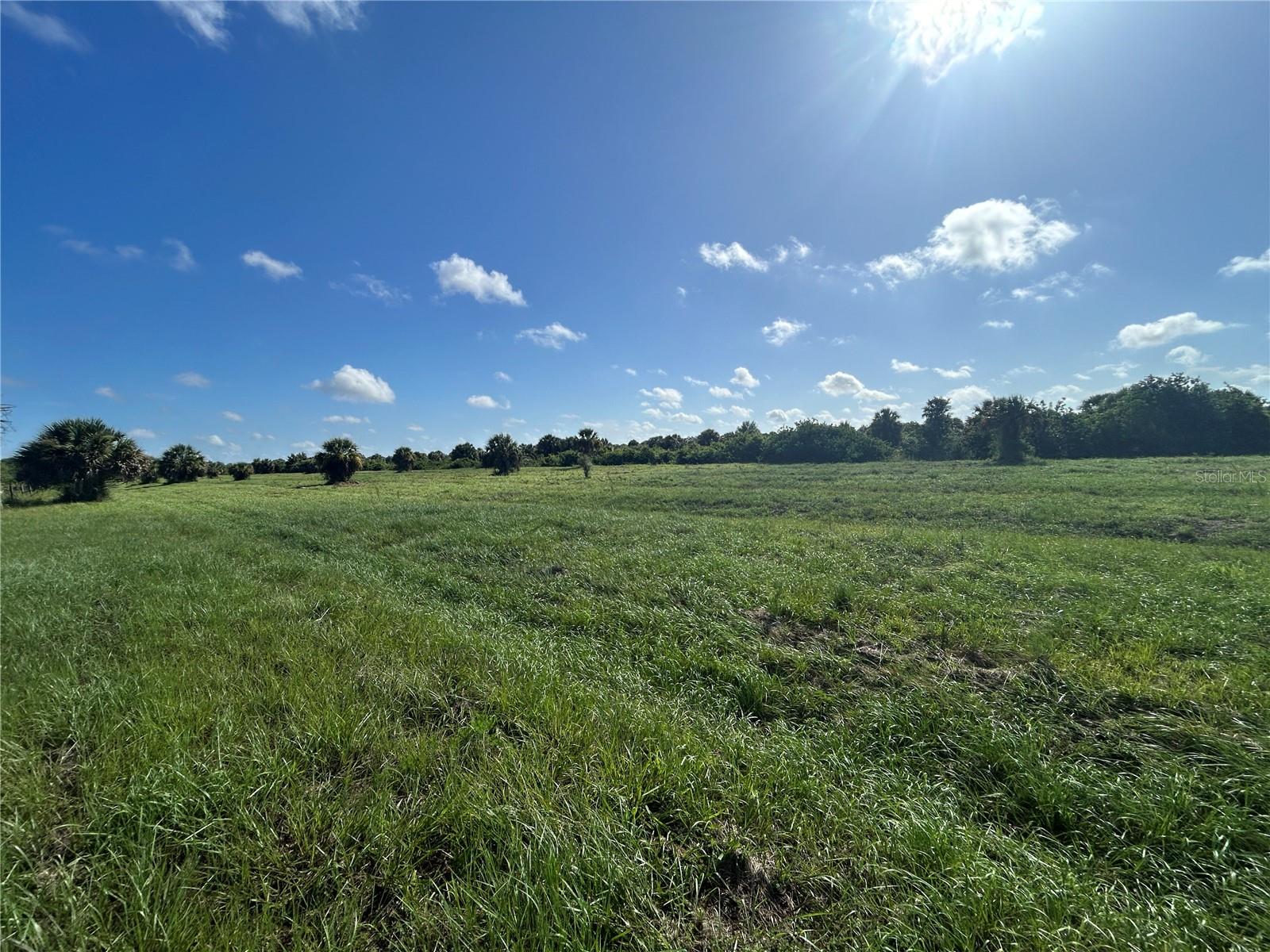 CHARLOTTE RANCHETTES - Land