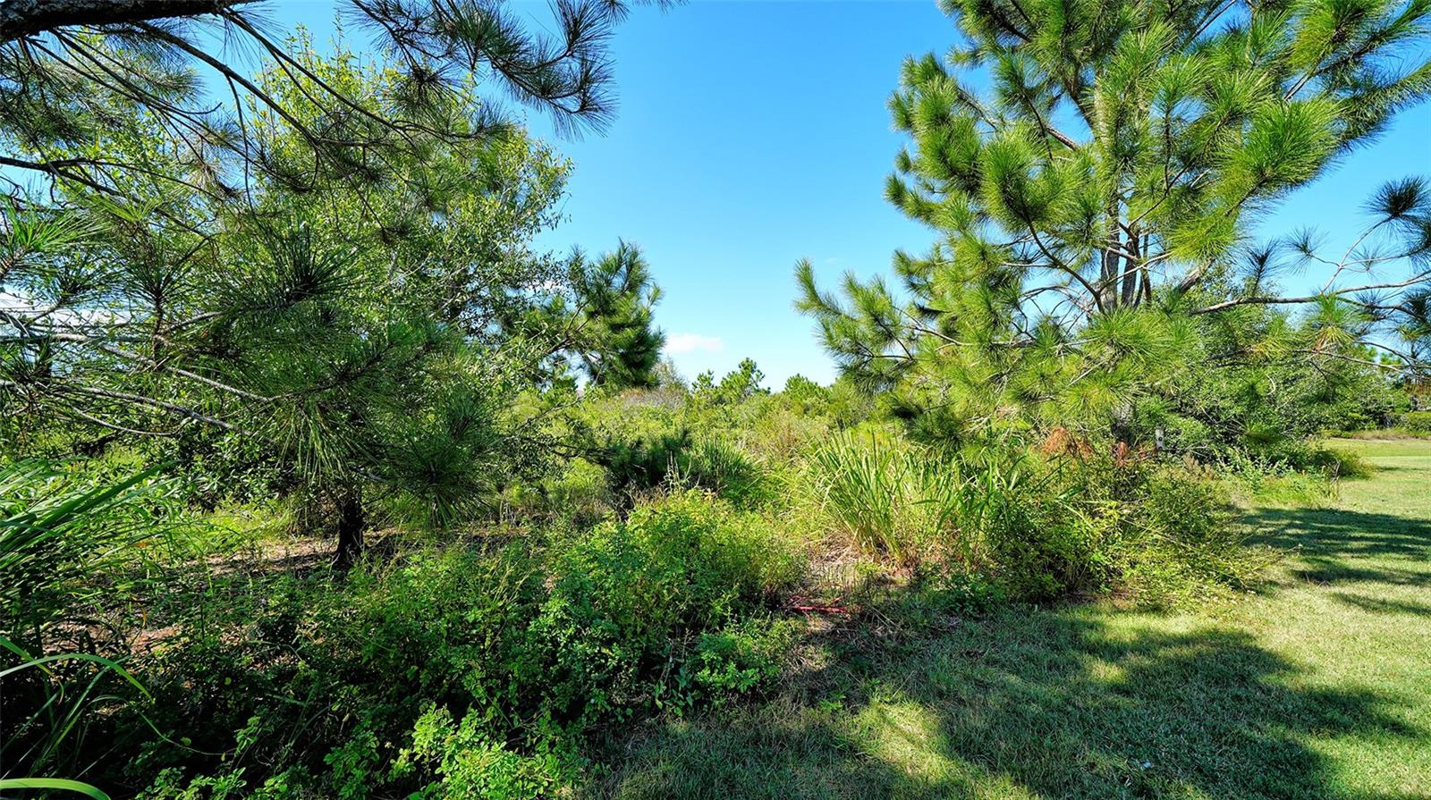 COUNTRY CLUB EAST AT LAKEWOOD RANCH - Residential