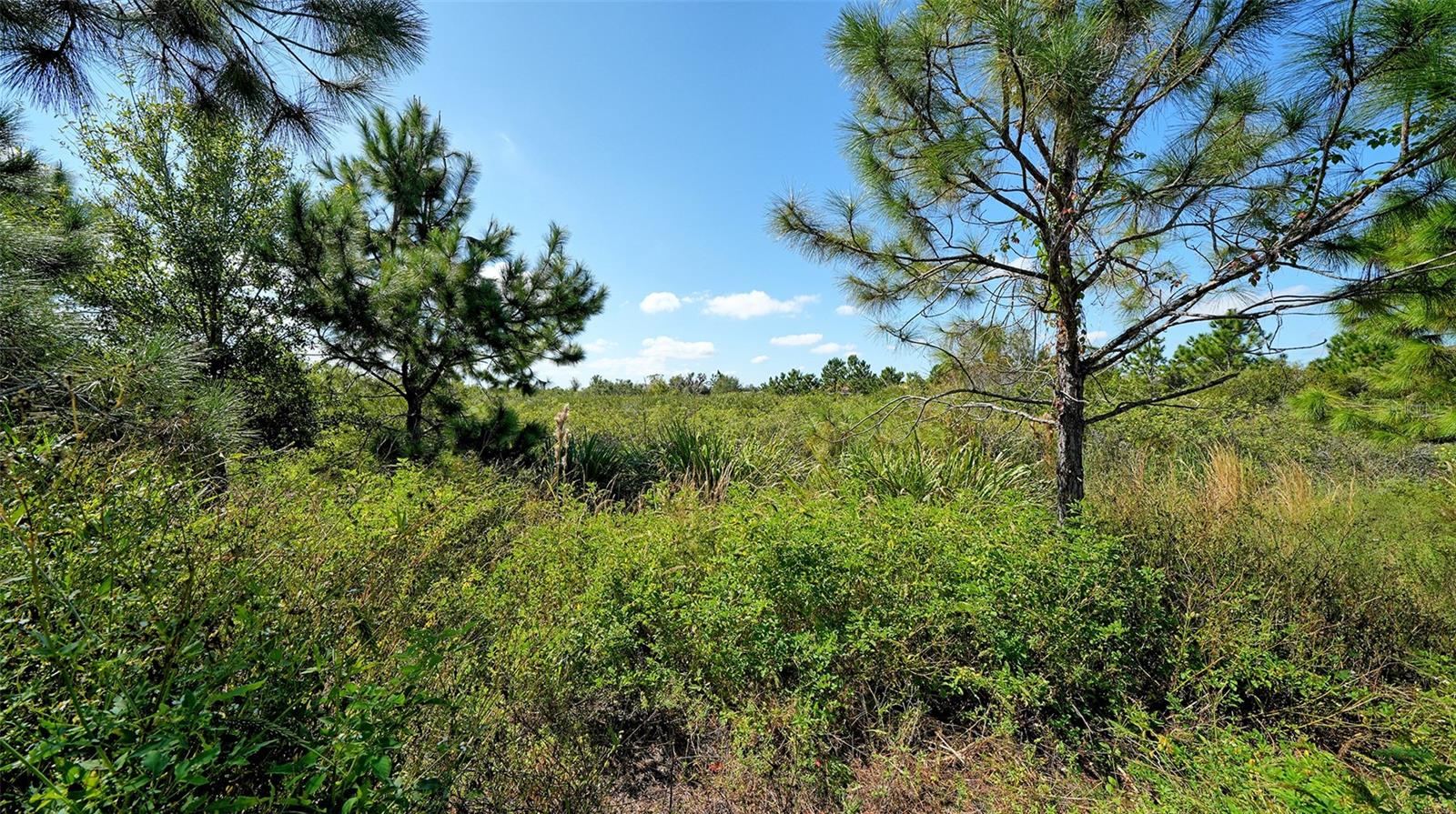 COUNTRY CLUB EAST AT LAKEWOOD RANCH - Residential