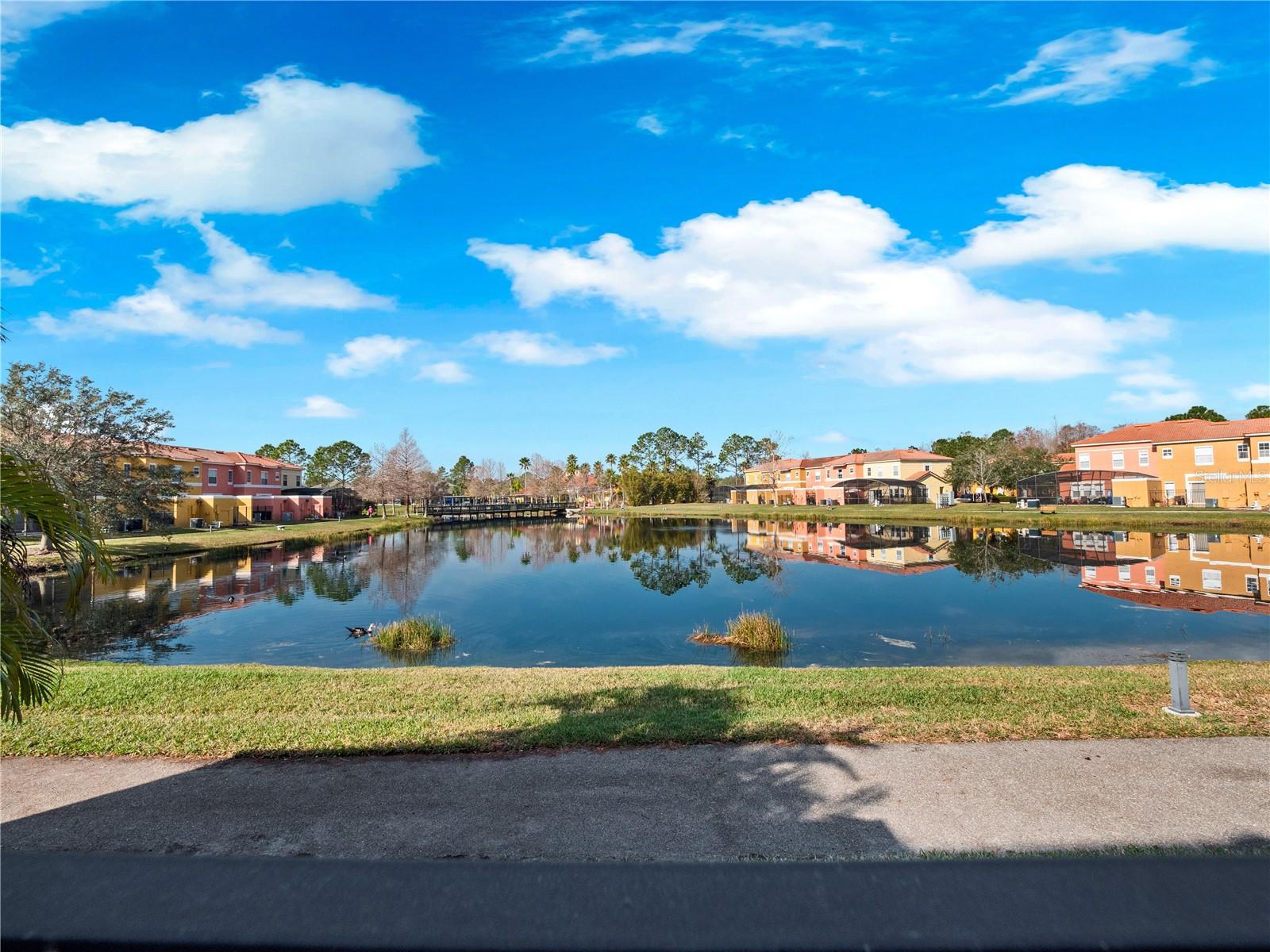 TERRA VERDE VILLAS PH 1 - Residential