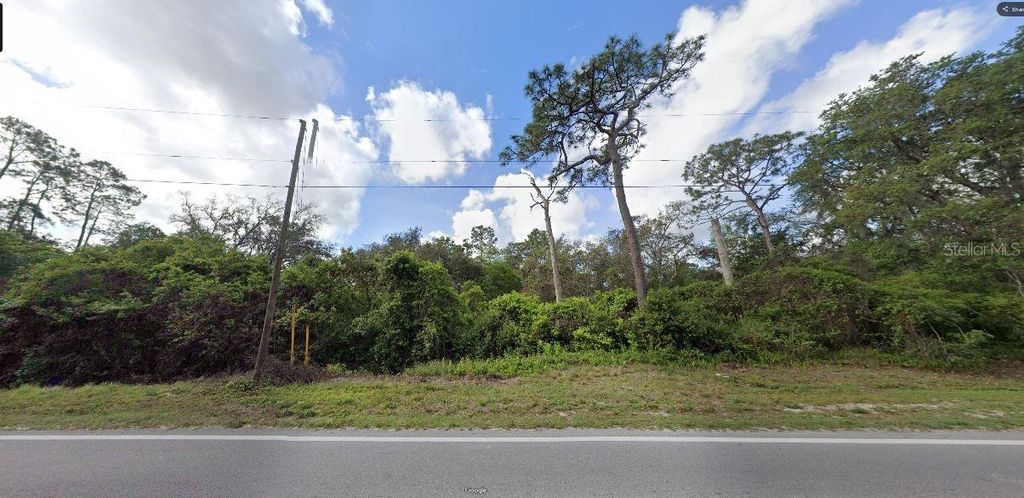 Photo of Deen Still Road, Polk City, FL 33868 (MLS # O6269507)