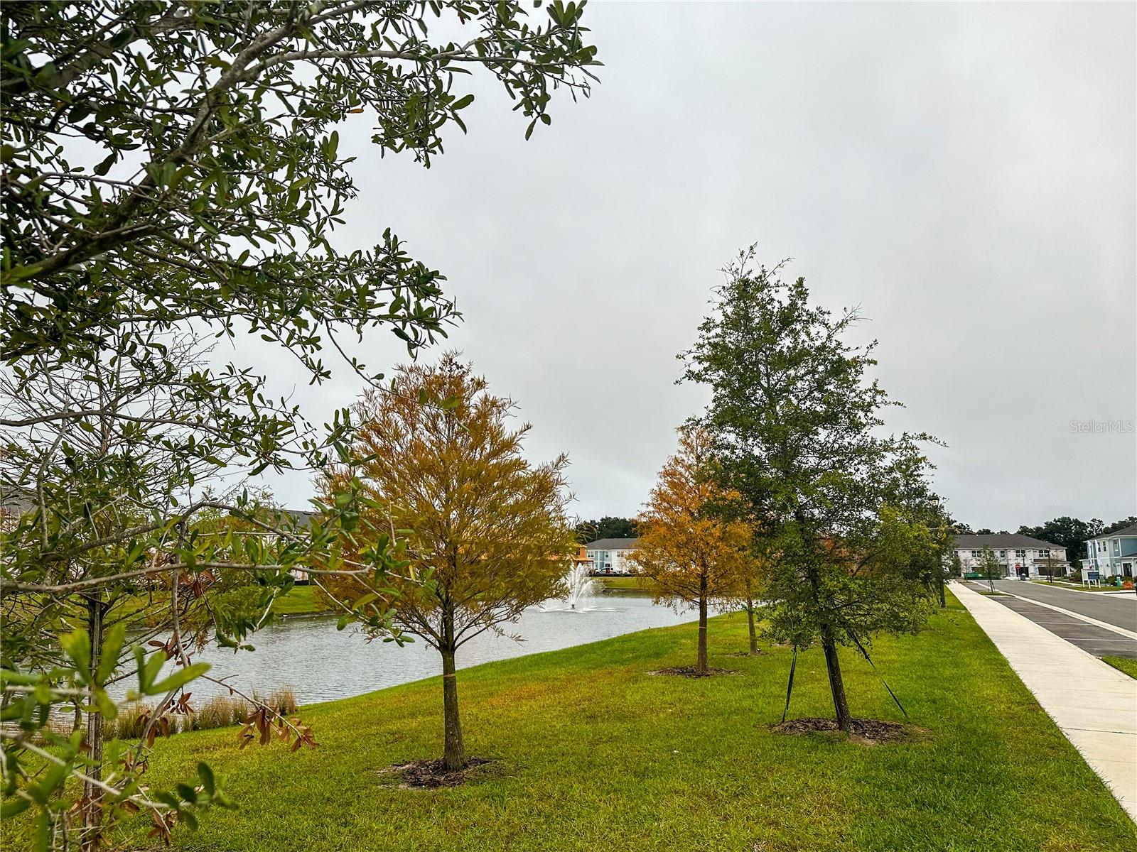 GRAYSON SQUARE - Residential Lease