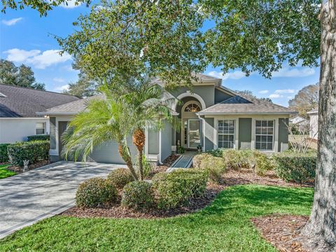 3883 EVERSHOLT STREET CLERMONT FL 34711